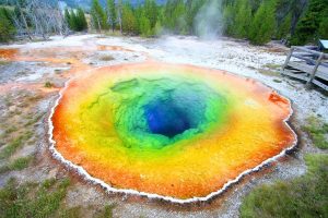 Yellowstone national park best time to visit best time of year to visit